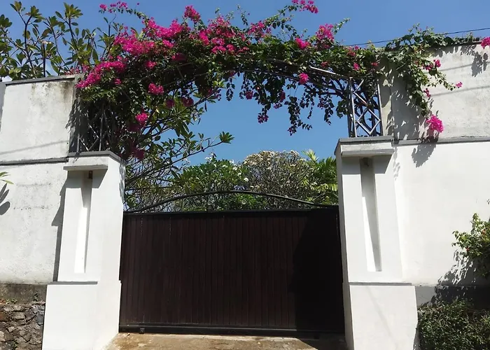 Paradise Villa *
