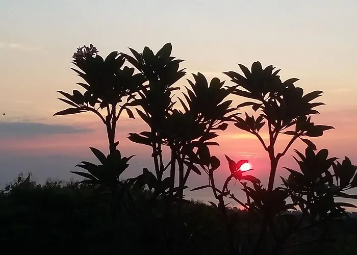 Paradise * Lovina
